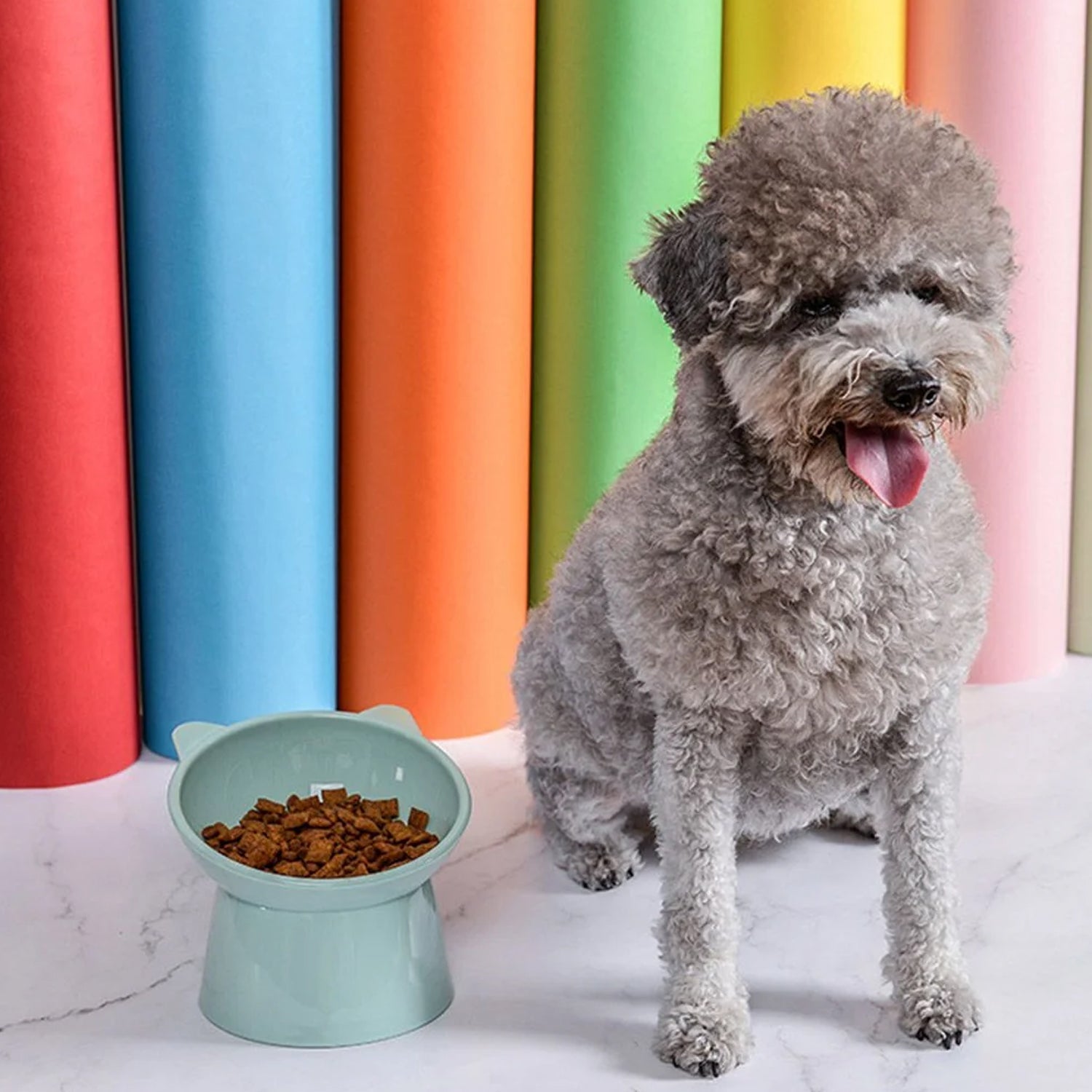 Plastic Multipurpose Bowl, Food Bowls (1 Pc) Plastic Multipurpose Bowl, Food Bowls (1 Pc)